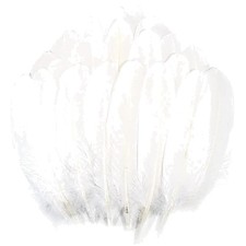 Federn Basteln, Bastelfedern