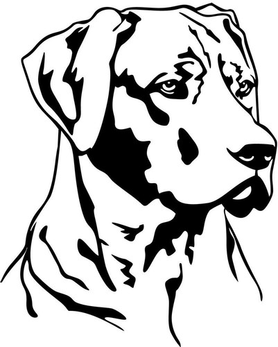 Rhodesian ridgeback aufkleber - rhodesian,