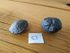 Moqui Marbles -Lebende Steine