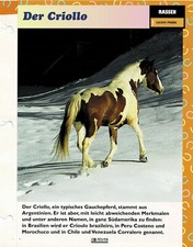 Der Criollo (Leichte Pferde) - Infokarte