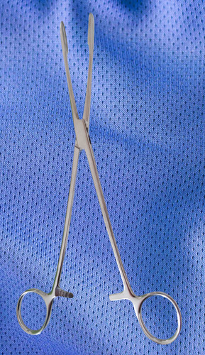 Gross maier kornzange gerade - maier, kornzange,