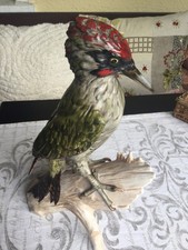 Goebel Porzellan Grünspecht, Specht, Bochmann, Vogel, groß, unbeschädigt