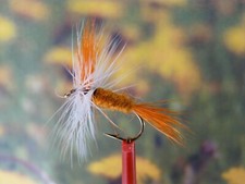 Trockenfliege " Hot Wulff "