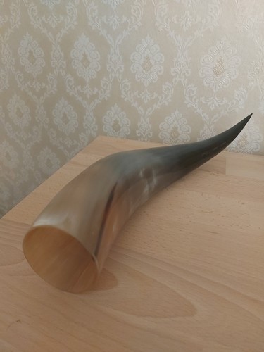 Trinkhorn unbenutzt - trinkhorn,