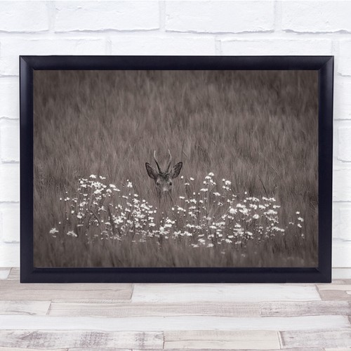 Natur sepia versteckte blumen - natur,