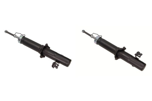 Stoßdämpfer vorderachse - 2x,