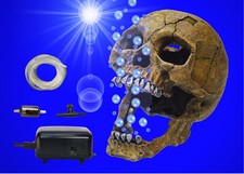 Aquarium deko - aquarium,