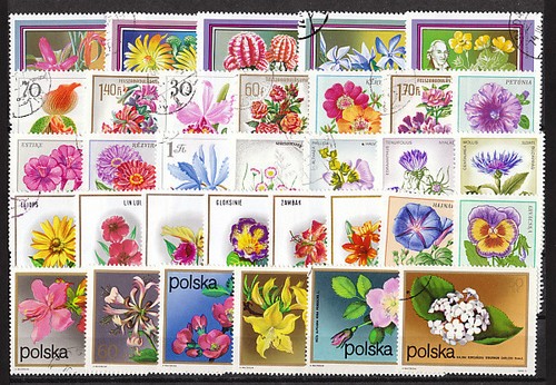 Motiv lot 100 - motiv-lot,