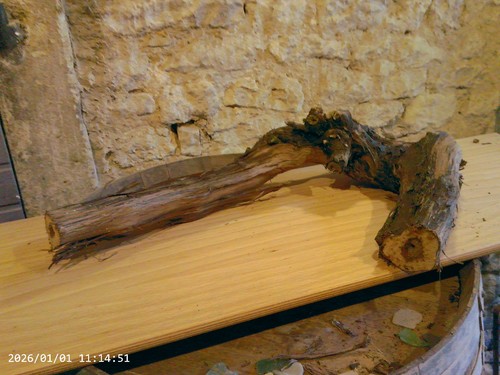 Weinstock herbstdeko holz - weinstock,