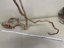 3 Moorkien Aquarium Wurzel