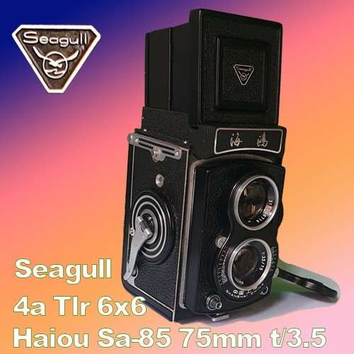 Seagull tlr 6x6 film kamera - 4a,