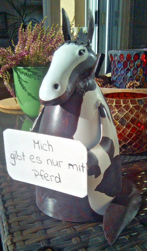 Zaunhocker mich gibt nur - gibt,