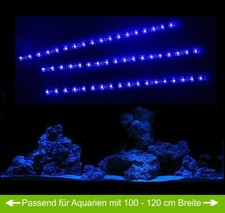 Creative Lights Aquarium Mondlicht 3 x 30 cm LED Blau Wasserdicht KOMPLETTSET