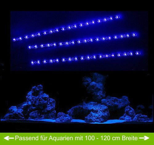 Creative lights aquarium - creative,