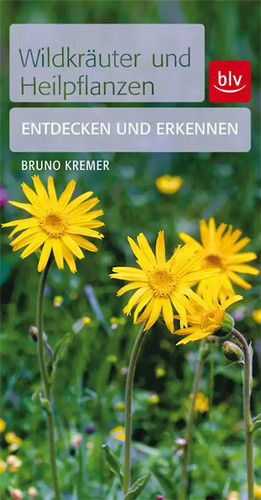 Wildkräuter heilpflanzen - wildkräuter,