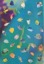 Transparentpapier Din A 4   Fische  bunt  basteln Karten  Neu