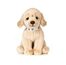 Golden labrador welpe hund - golden,