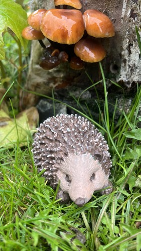 Geocache igel petg 3d - igel,