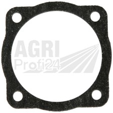 Ölspaltfilterdichtung Eicher