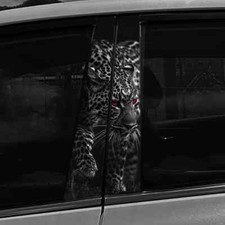 2x Geld Leopard Lion Auto B