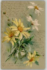 51858521 - Klein, C. / C