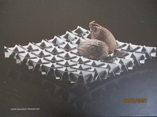 AUERHAHN DEKO SCHALE STRIPE