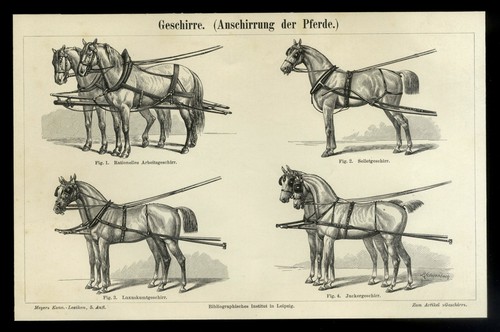 Original alter holzstich 1895 - alter,