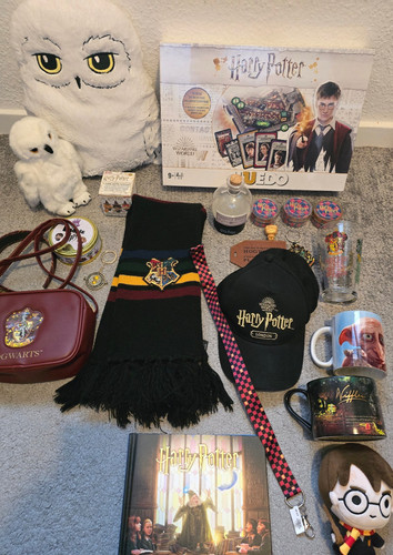Harry potter wizarding world - harry,