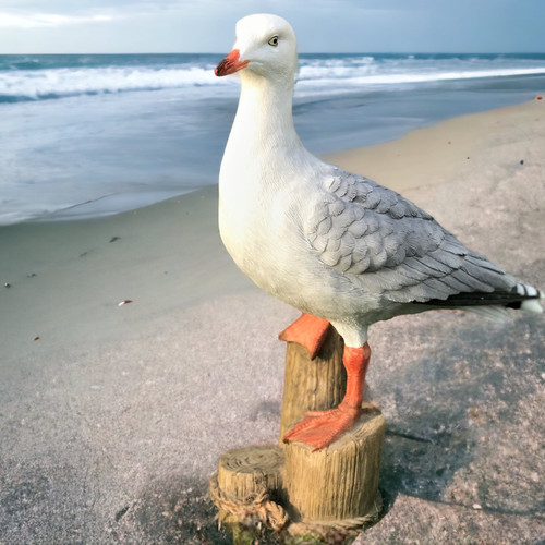 Möwe ornament maritim display - ornament,
