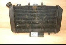 Hyosung GT650R GT 650R Kühler ew02