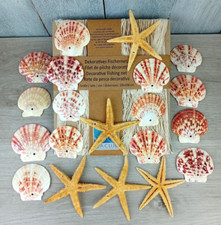 Deko Set Fischernetz 1x2m beige + 15 Muscheln + 5 Seesterne maritime Dekoration