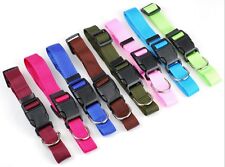 Halsband Halsbänder