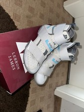 Nike Lebron Soldier 10 Flyease Gr.40
