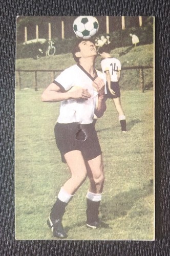 Bild 222 sicker horst berg - 222,