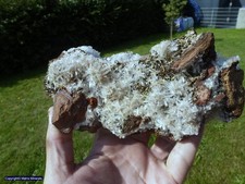 Hemimorphit mit Mimetisit von Mina Ojuela, Mapimi Durango Mexiko #2