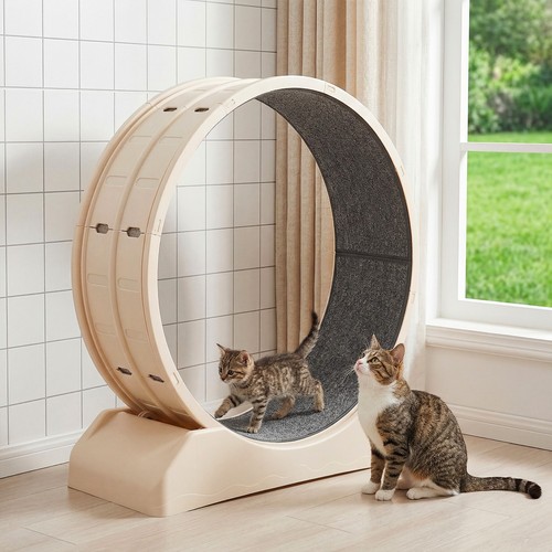 110 katzen laufrad - katzen-laufrad, für