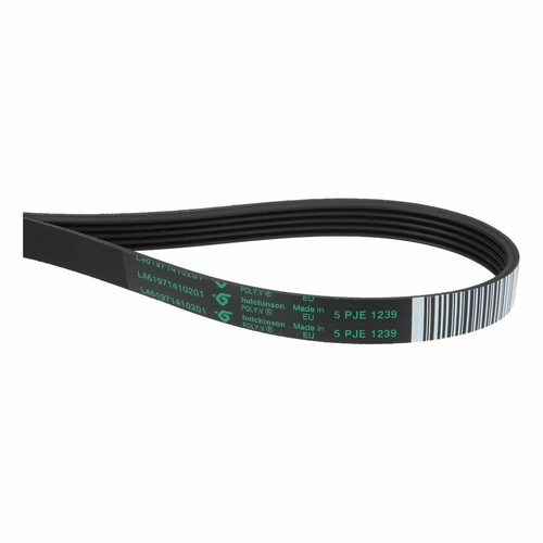 Keilrippenriemen 1239pj5e wie - keilrippenriemen,