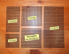 AM2 ⭐ Moosplatten ⭐