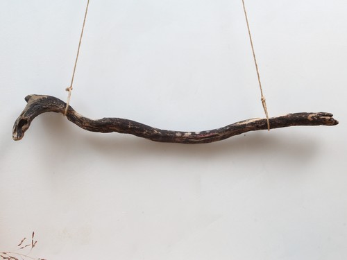 Treibholz ast 63cm - treibholz,