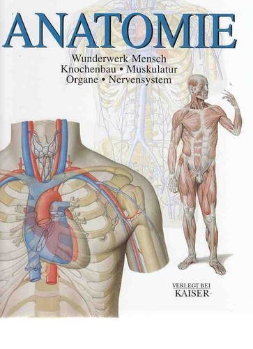 Anatomie wunderwerk mensch - anatomie,