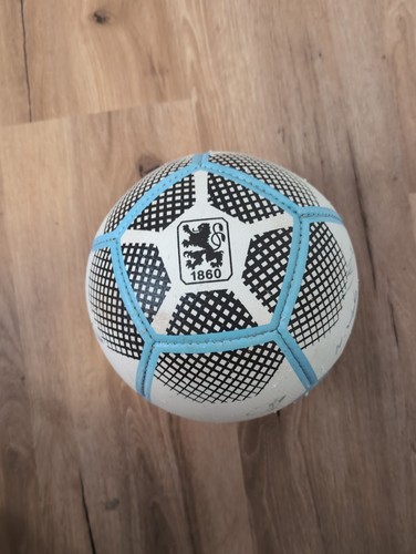 Tsv 1860 münchen 2021 2022 - tsv,