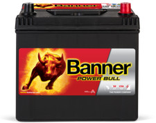 12V 60Ah 510A Banner Power