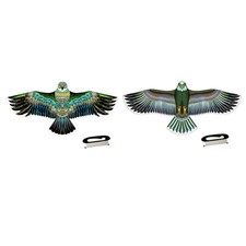 Riesige Kite -Outdoor