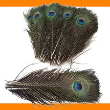 25-30cm Pfauenfedern Natur