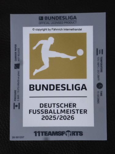 Bundesliga badge patch - bundesliga,