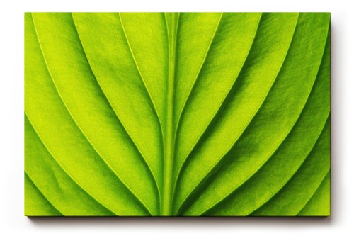 Sinus art wandbild die - art,