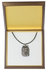 Yorkshire Terrier, York, York