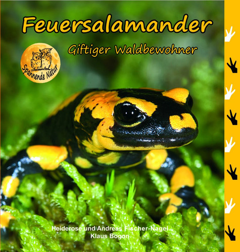 Feuersalamander giftiger - feuersalamander,