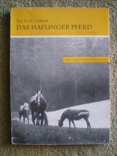 Das Haflinger Pferd -