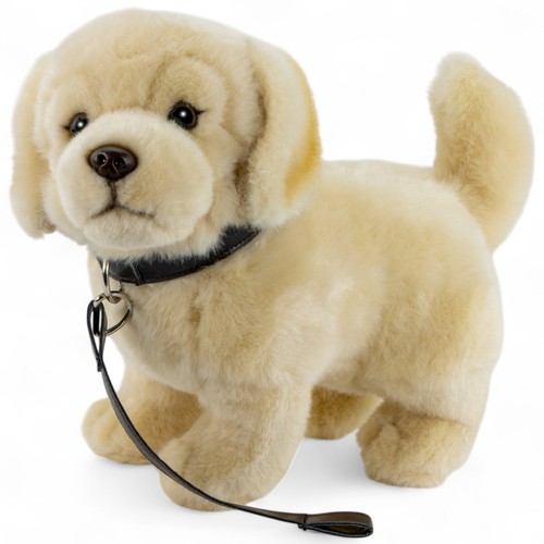 Carl dick golden - golden, retriever